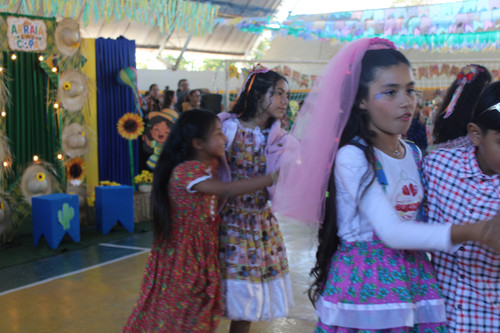 IMG 8541.jpg