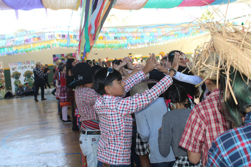 IMG 8532.jpg