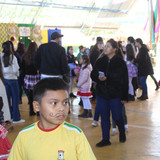 IMG 8026