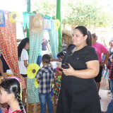 IMG 7292