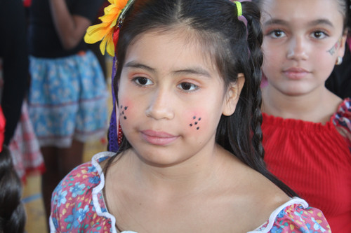 IMG 8346.jpg