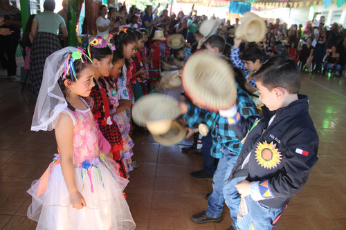 IMG 7201.jpg