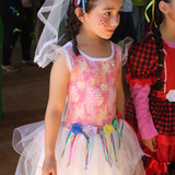 IMG 7205