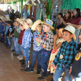 IMG 7195