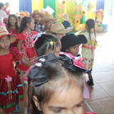 IMG 7181