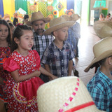 IMG 7184