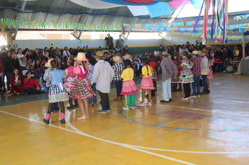 IMG 7848.jpg