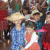 IMG 7246