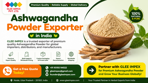 Ashwagandha Powder Exporter in India Premium Quality Organic Ashwagandha Powder Supplier Glee Impex.png
