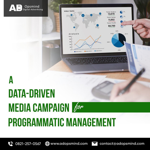 CTV Campaign Management Services for High-Performance Advertising.jpg