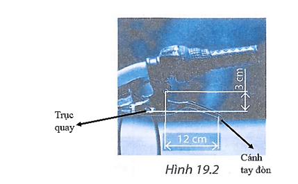 bai 19 2 trang 53 sbt khtn 8 1.png