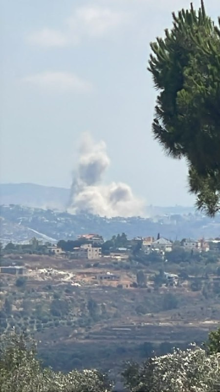 صورة الخبر