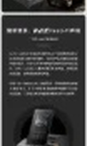 翻译后详情图0 4.jpg