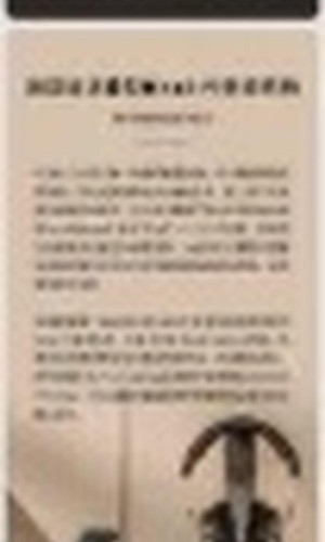 翻译后详情图0 2.jpg
