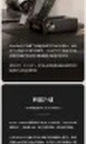 翻译后详情图0 11.jpg