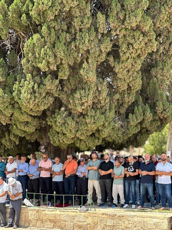 صورة الخبر