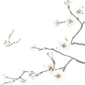 retouch 2026081609342181.png