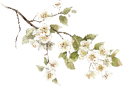 retouch 2026081610012509.png
