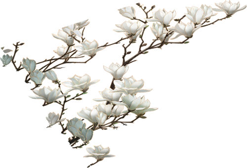 retouch 2026081609363692.png