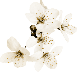retouch 2026081609492825.png