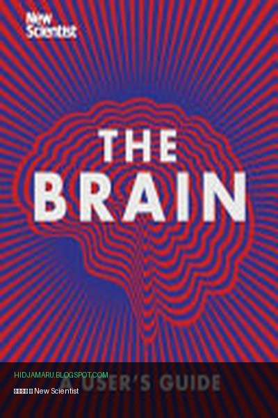 Обложка книги «Мозг» - New Scientist