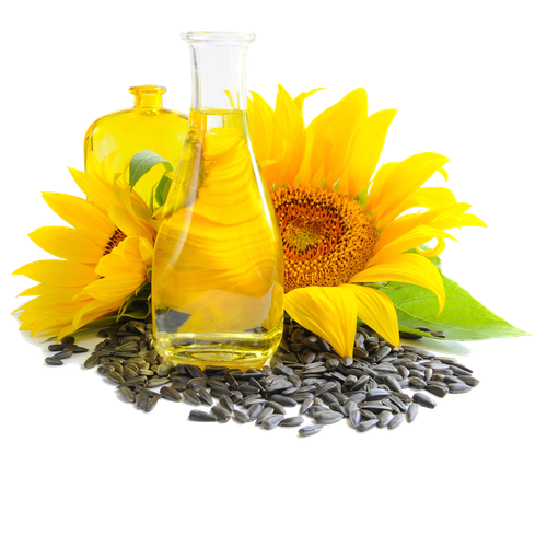 common sunflower sunflower oil vegetable oil sunflower seed sunflower oil 8fa852c9be14faf7fd9e02cf5e.png