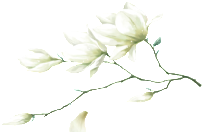 retouch 2026081423550828.png