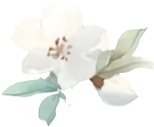 retouch 2026081423413603.png