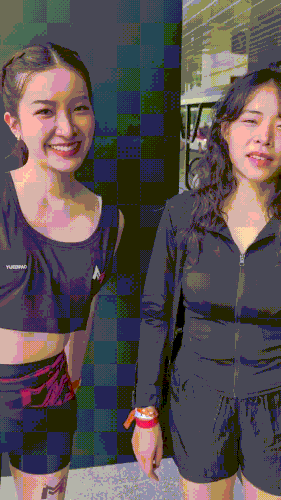 Image Stang 140826 1.gif