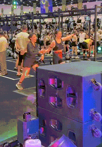 Image Stang 140826 3.gif