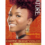 Creme of Nature Exotic Shine Color 6.2 Burgundy Blaze