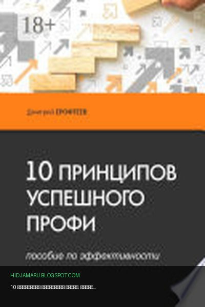 Обложка книги «10 принципов успешного профи. Пособие по эффективности» - Дмитрий Ерофтеев