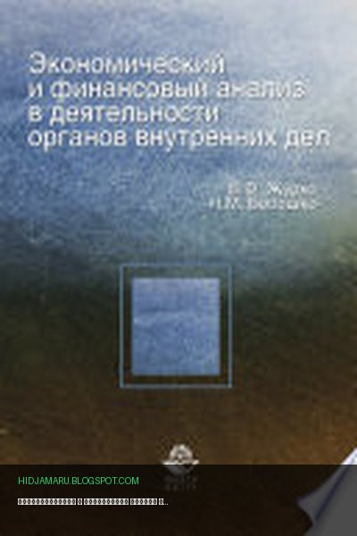 Обложка книги «Экономический и финансовый анализ в деятельности органов внутренних дел» - Н. Бобошко, В. Журко