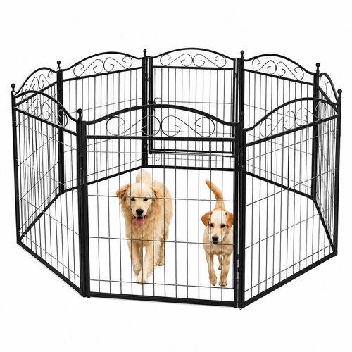 ChatGPT Image Aug 14, 2026, 06 39 41 PM.png