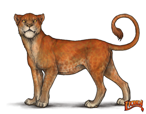 lioden wardrobe (10).png