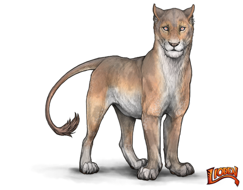 lioden wardrobe (5).png