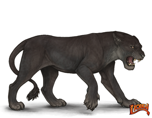 lioden wardrobe (11).png