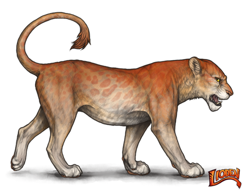 lioden wardrobe (13).png