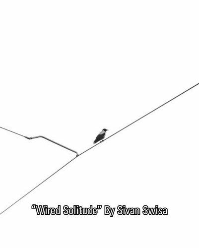 2 images (2).png