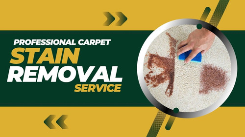 Professional Carpet Stain Removal Service A Helpful Guide.jpg