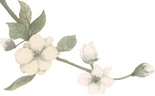 retouch 2026081616010433.png