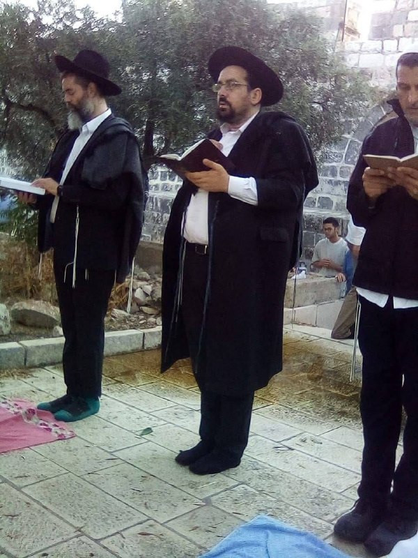 صورة الخبر