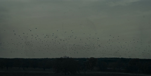 Lioness.2023.S03E01.The.Spider.and.the.Fly.2160p.ATV.WEB DL.CZ EN.DD+5.1.Atmos.DoVi.HDR.H.265 NTb.mk.jpg