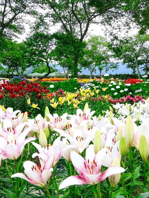 b488ab50b579a387f9c5538918314af5