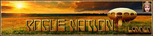 Landed Banner.jpg