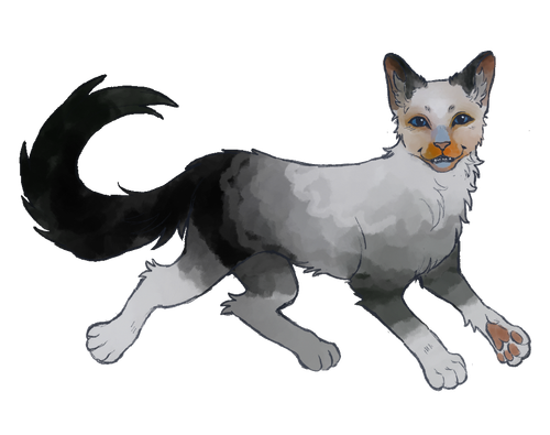 Untitled210 20260816002937.png