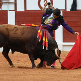 CiUBF8x.th.jpg