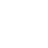gemini svg.png