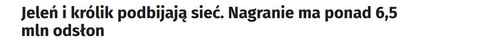 MWSnap145.jpg