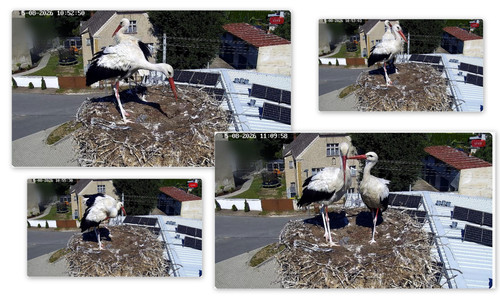 Bilder4.jpg